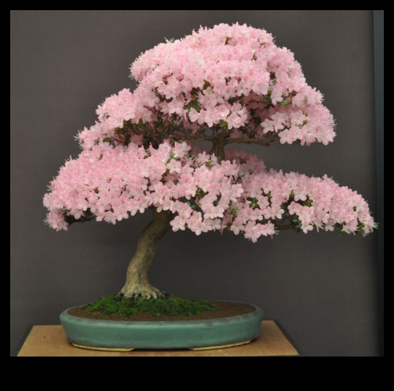 Çiçek Açan Bonsai: Büyüleyici Japon Bahçeciliği