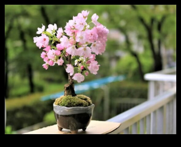 Çiçek Açan Bonsai Japon Bahçeciliğinin Zamansız Sanatı