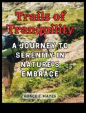 Trail Tranquility Açık Havada Vahşi Doğada Huzur Bulmanın 5 Yolu